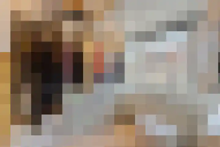 Seringstraat 15 Huizen thumbnail 26