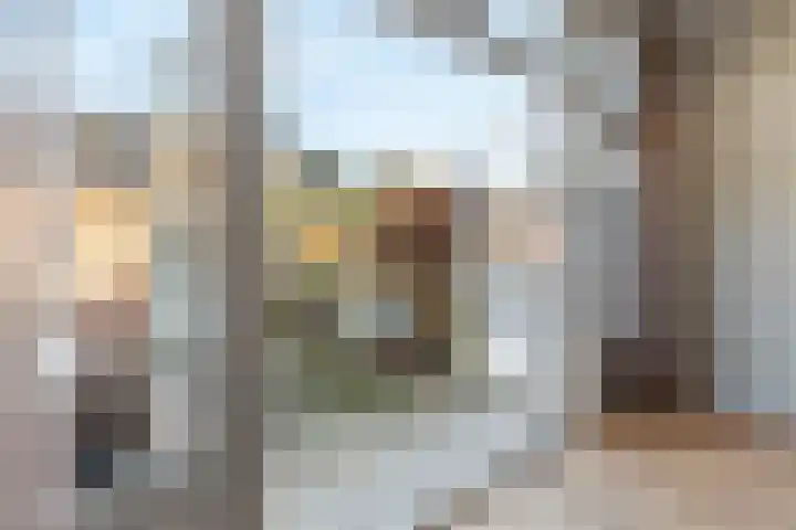 Seringstraat 15 Huizen thumbnail 31