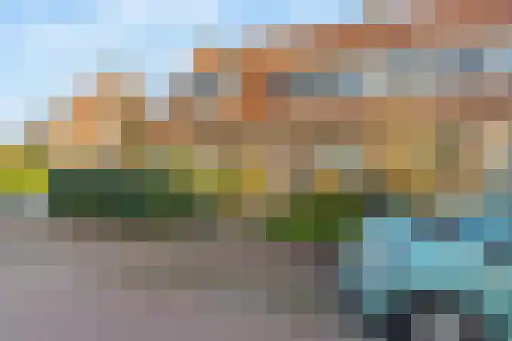 Seringstraat 15 Huizen thumbnail 35