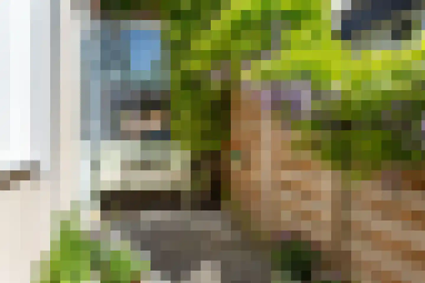 Seringstraat 16 Utrecht thumbnail 8