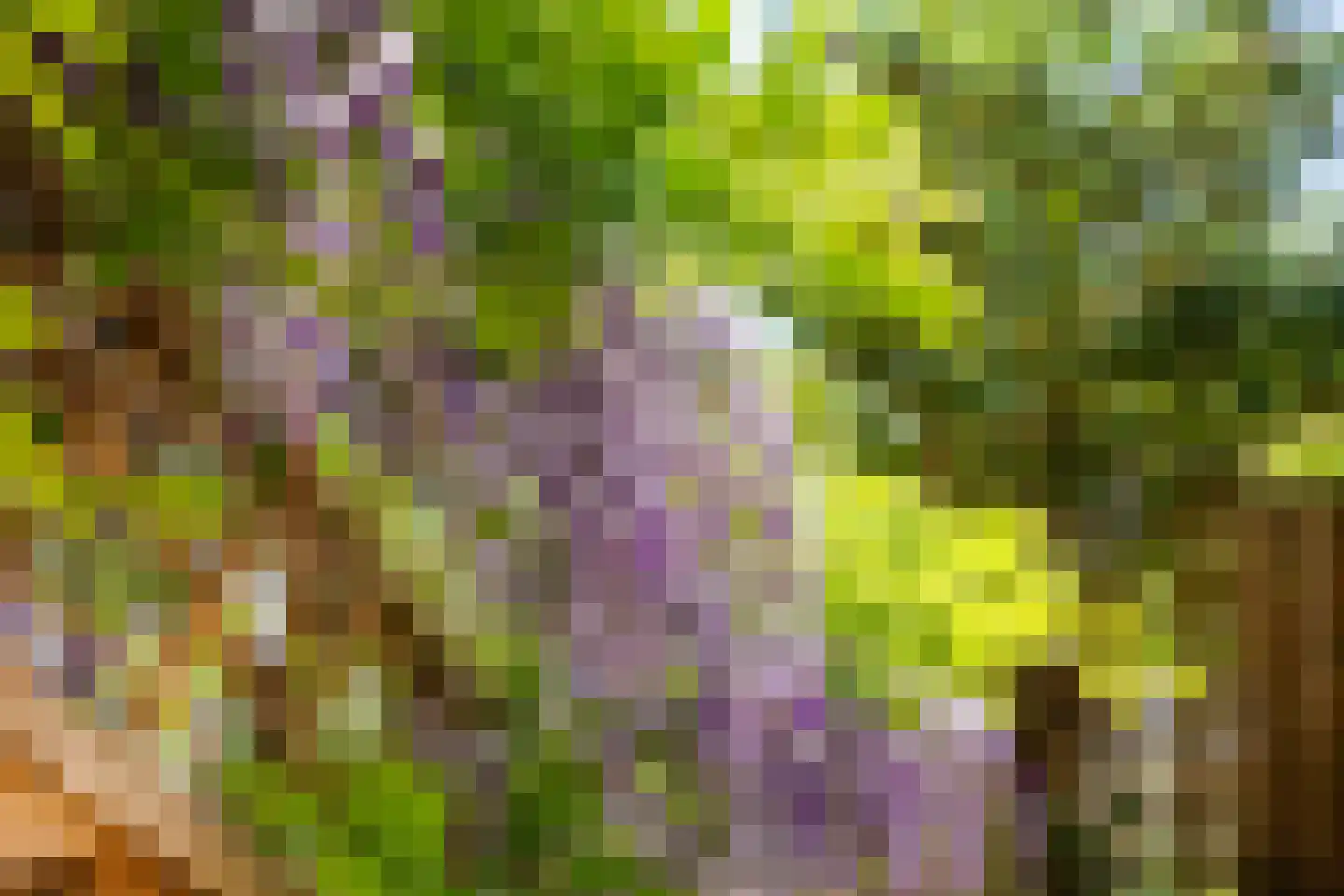 Seringstraat 16 Utrecht thumbnail 9