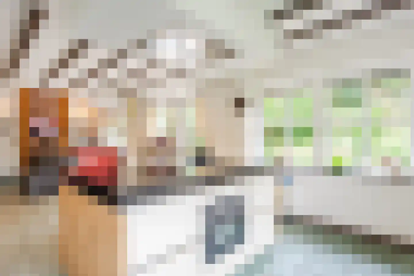 Seringstraat 23 a Huizen thumbnail 18
