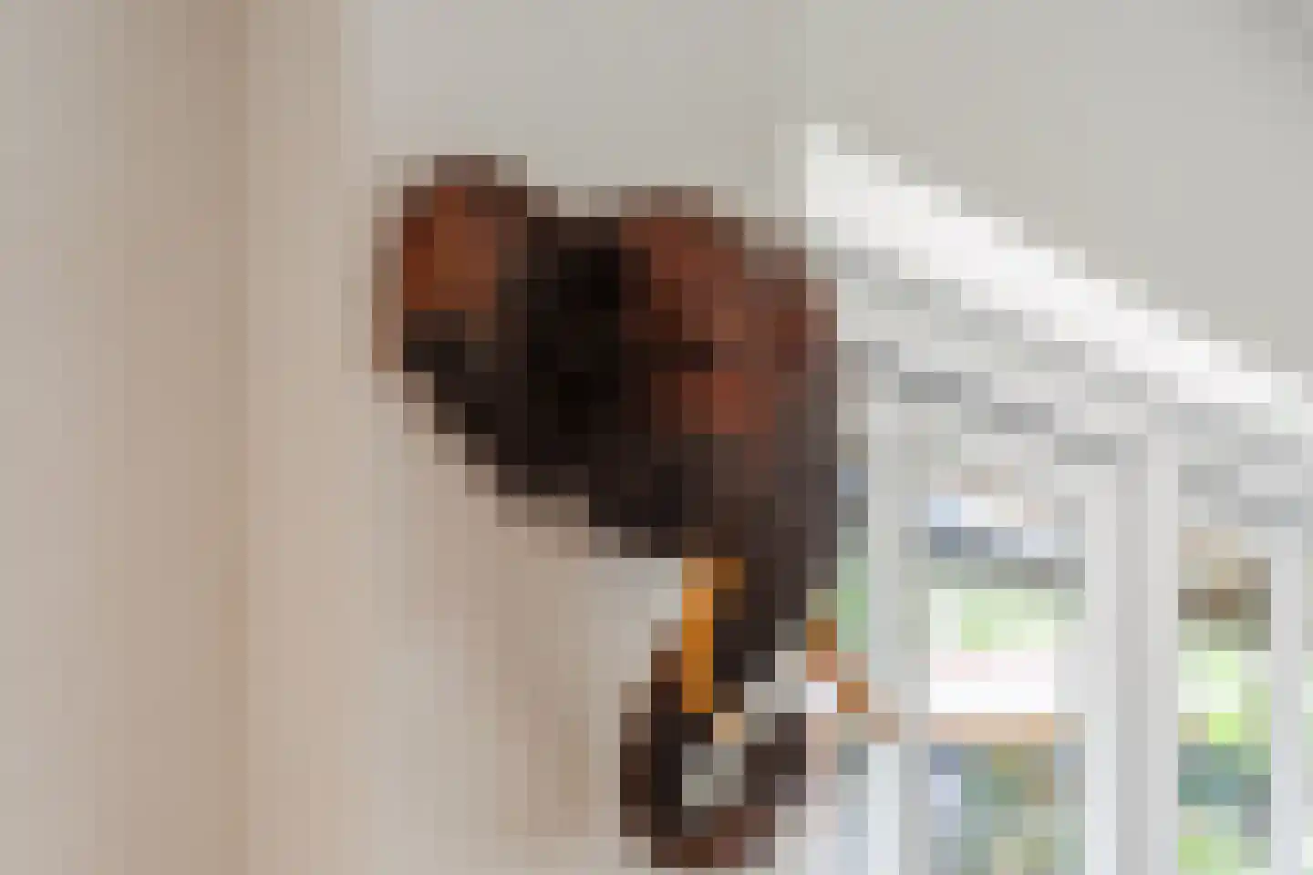 Seringstraat 23 a Huizen thumbnail 24