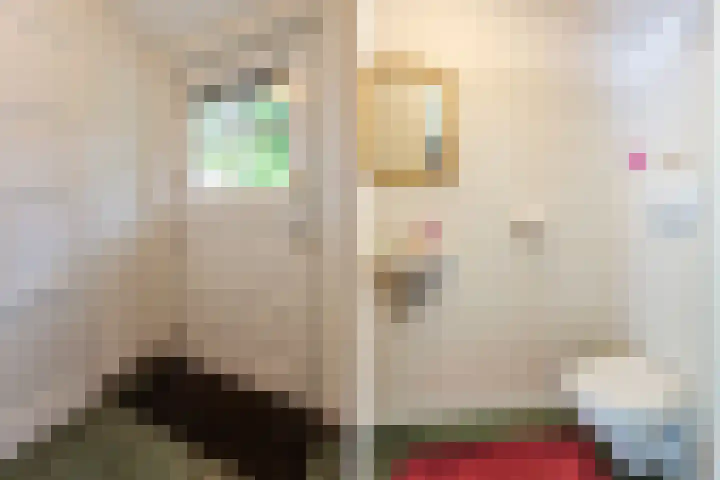 Seringstraat 23 a Huizen thumbnail 29