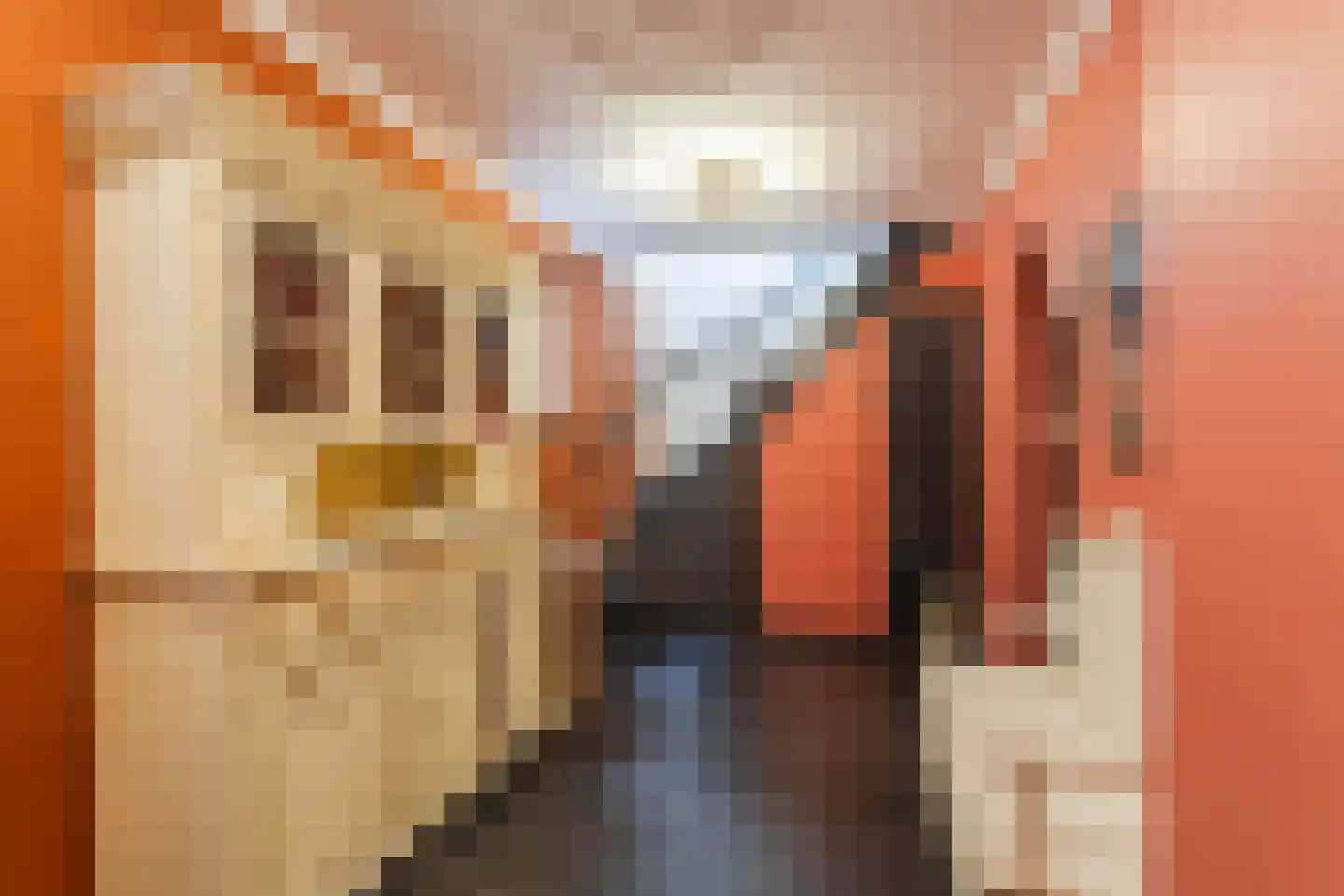 Seringstraat 23 a Huizen thumbnail 38