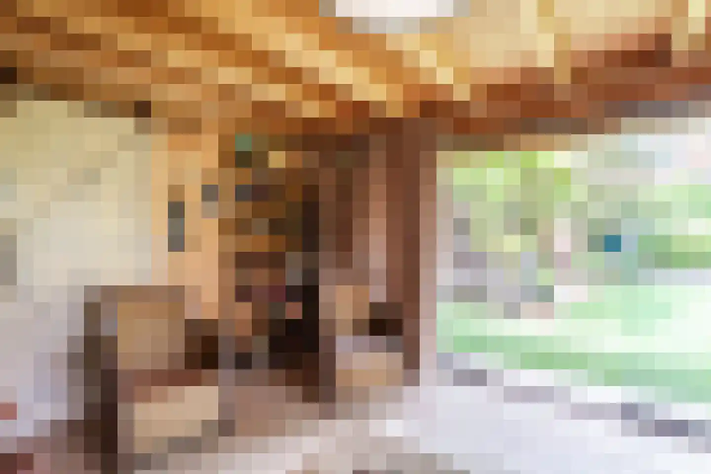 Seringstraat 23 a Huizen thumbnail 57