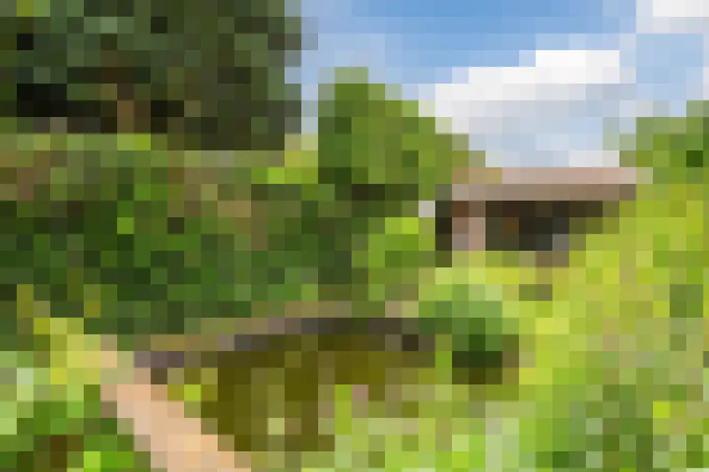 Seringstraat 23 a Huizen thumbnail 65