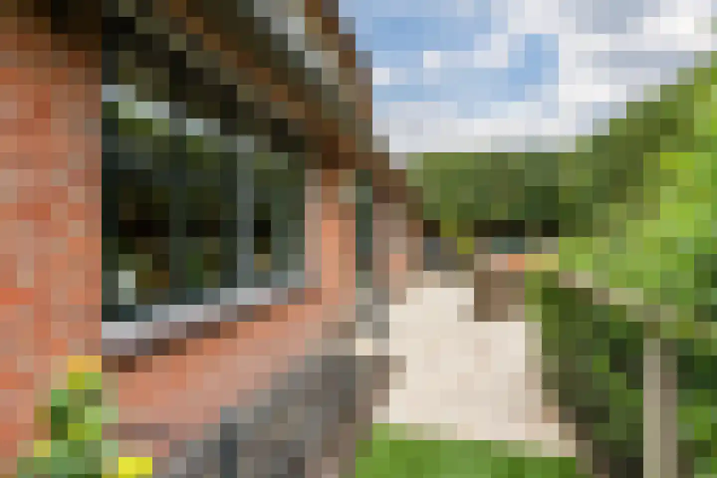 Seringstraat 23 a Huizen thumbnail 66