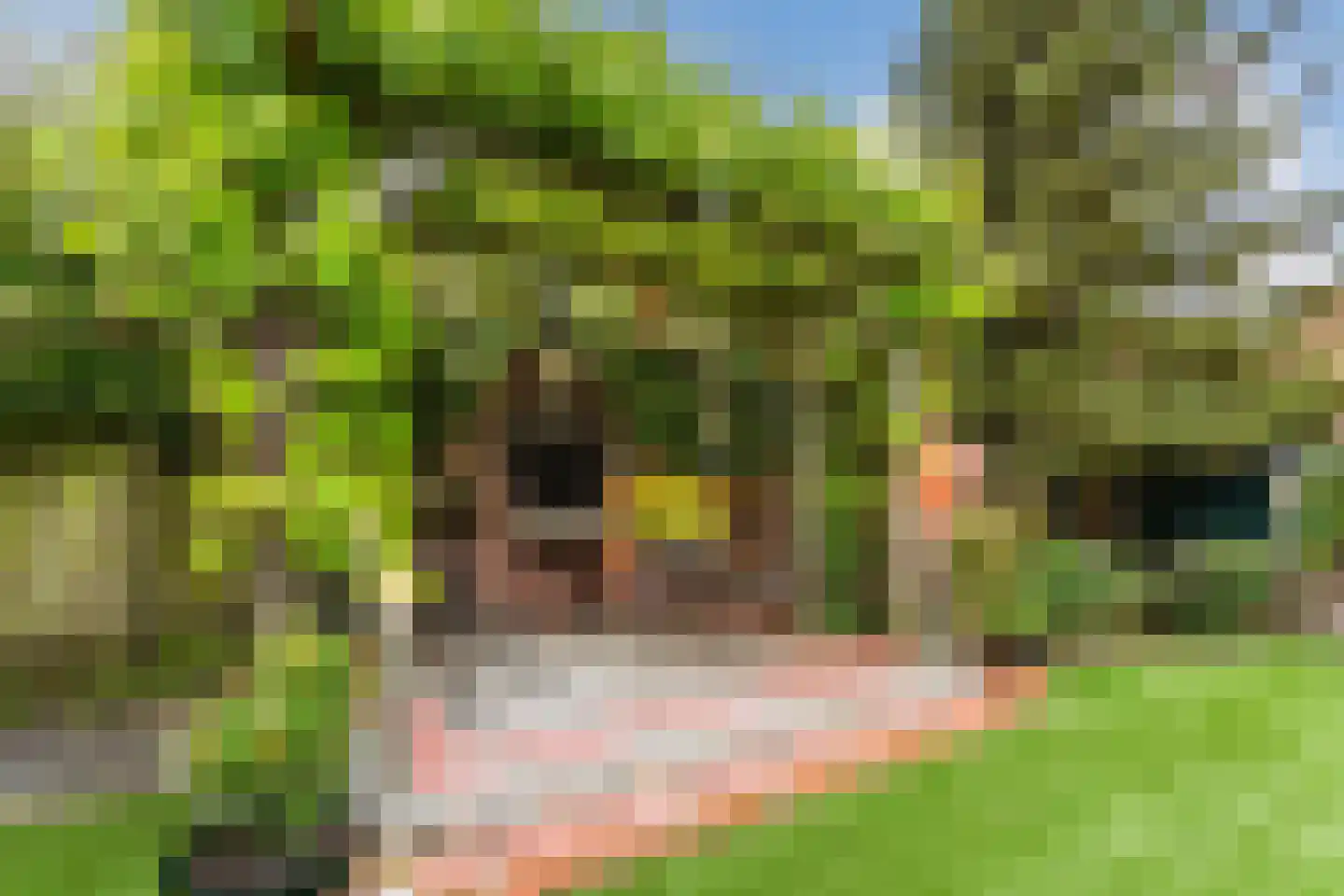 Seringstraat 23 a Huizen thumbnail 68