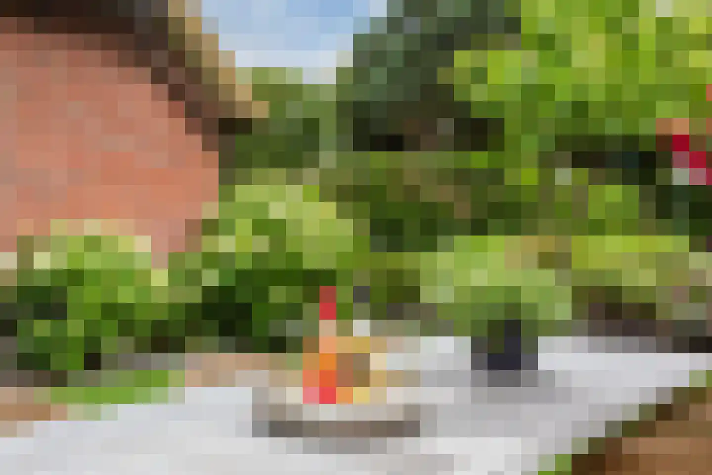Seringstraat 23 a Huizen thumbnail 69