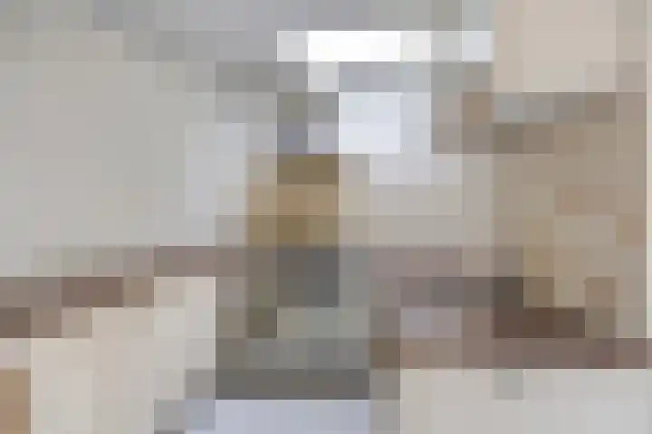 Seringstraat 25 Utrecht thumbnail 10