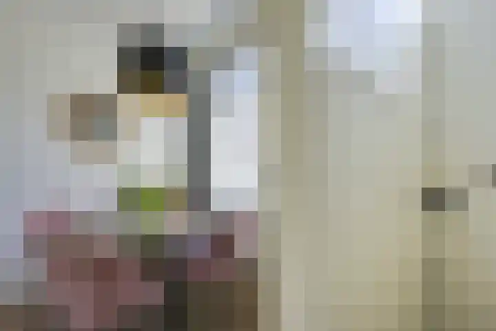 Seringstraat 26 Utrecht thumbnail 8