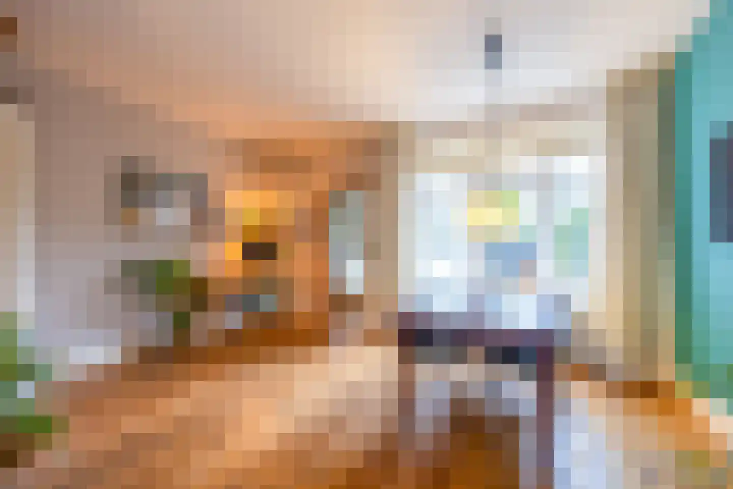 Seringstraat 3 Huizen thumbnail 16