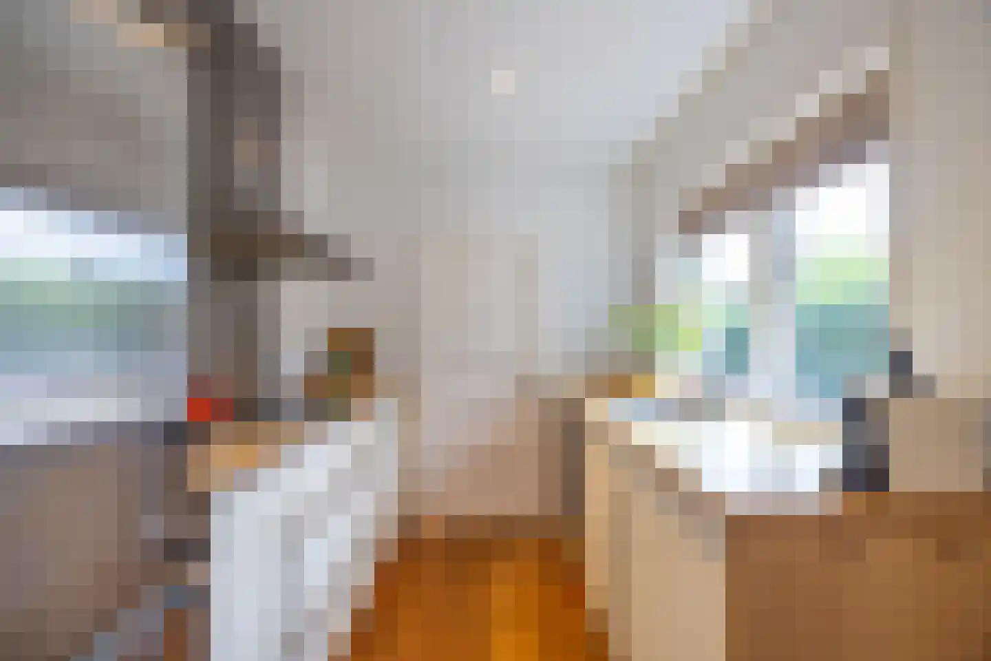Seringstraat 3 Huizen thumbnail 21
