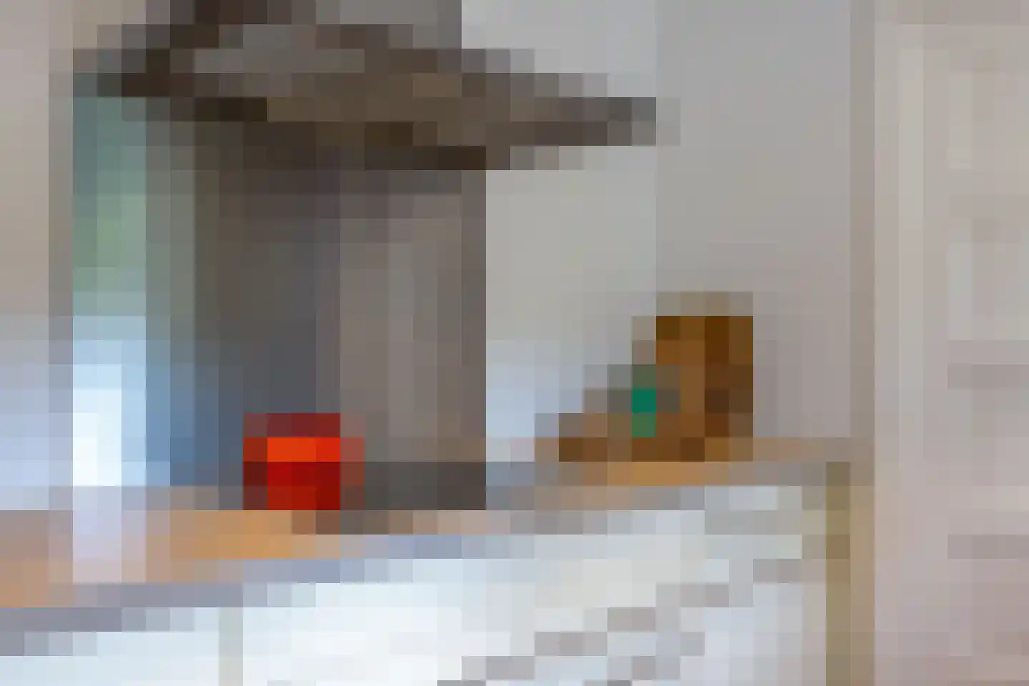 Seringstraat 3 Huizen thumbnail 22