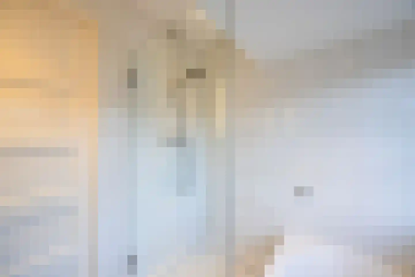Seringstraat 3 Huizen thumbnail 29