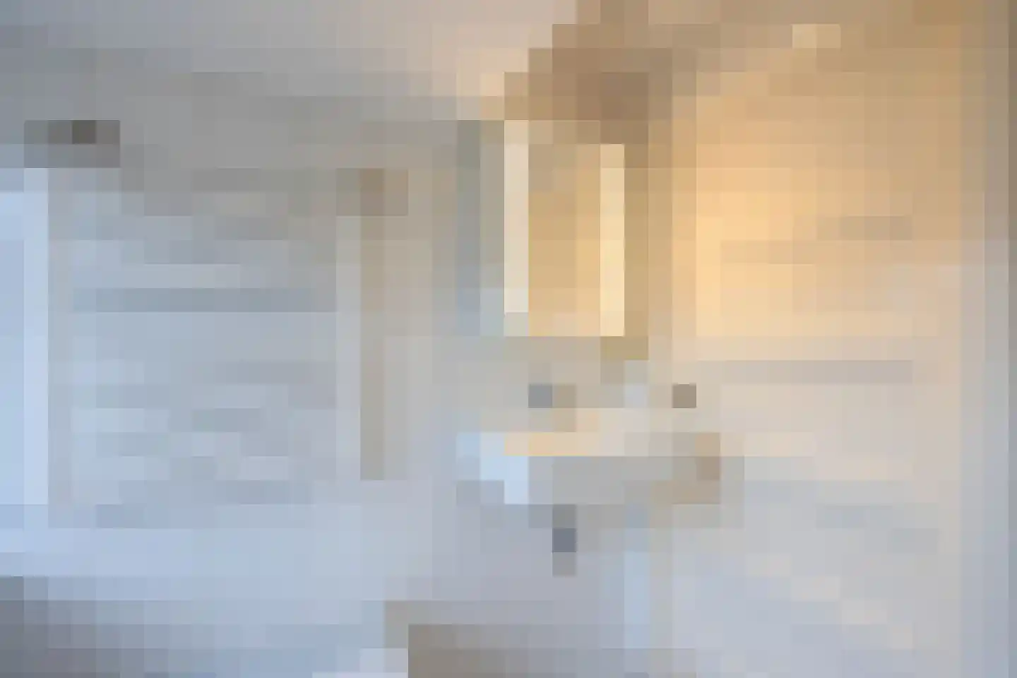 Seringstraat 3 Huizen thumbnail 30