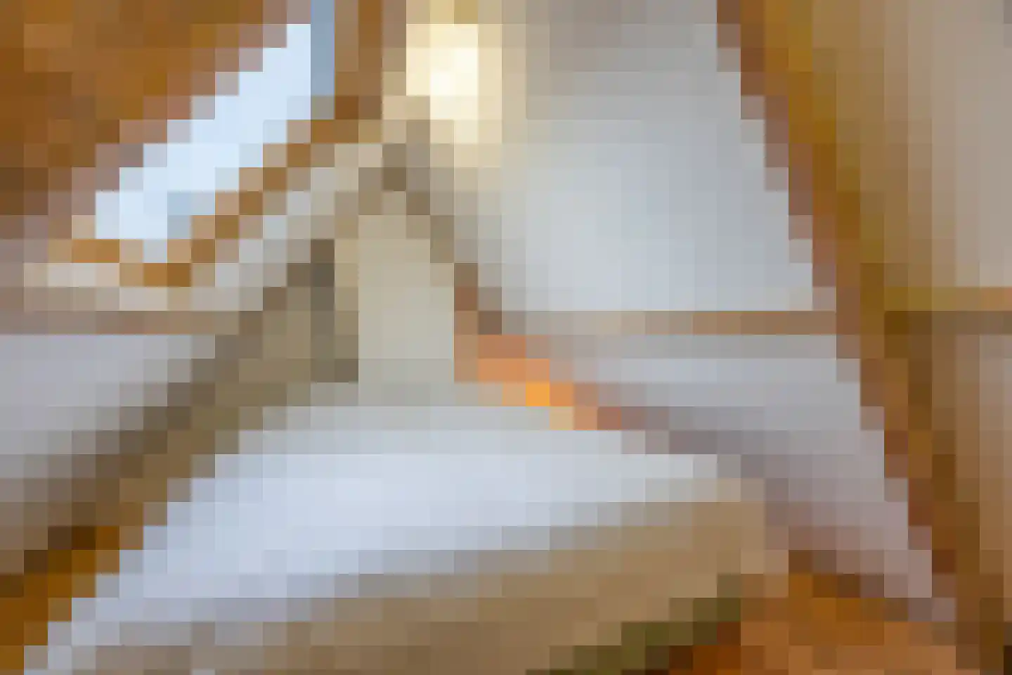 Seringstraat 3 Huizen thumbnail 35