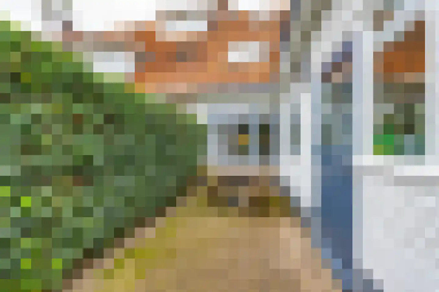 Seringstraat 3 Huizen thumbnail 36