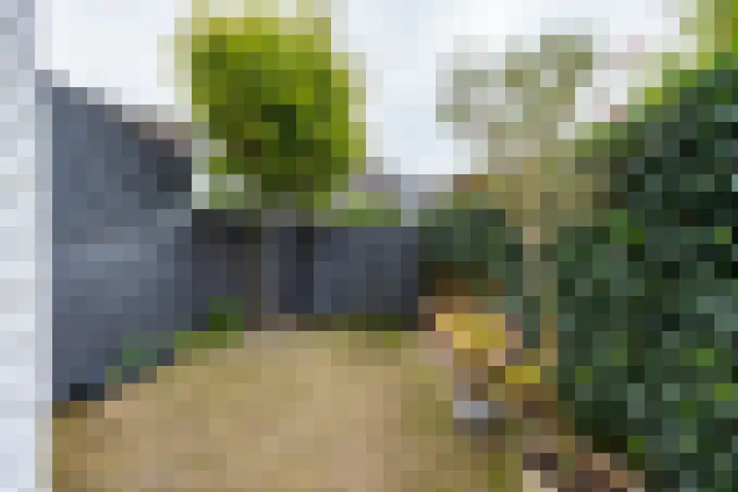 Seringstraat 3 Huizen thumbnail 38