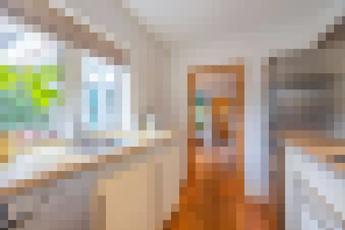 Seringstraat 3 Huizen thumbnail 4