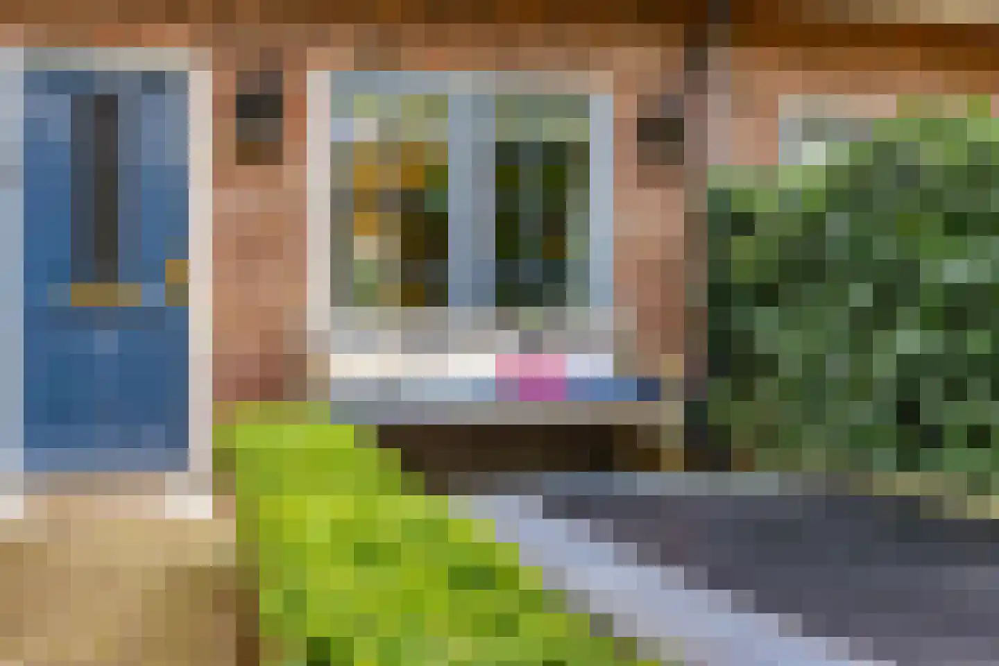 Seringstraat 3 Huizen thumbnail 8