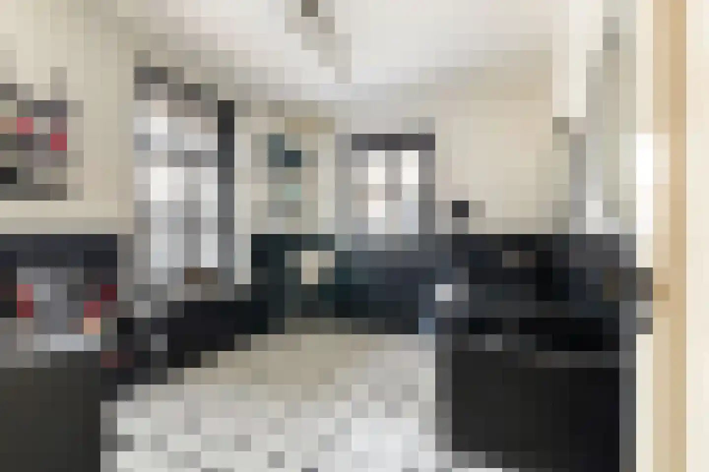 Seringstraat 37 Ederveen thumbnail 26