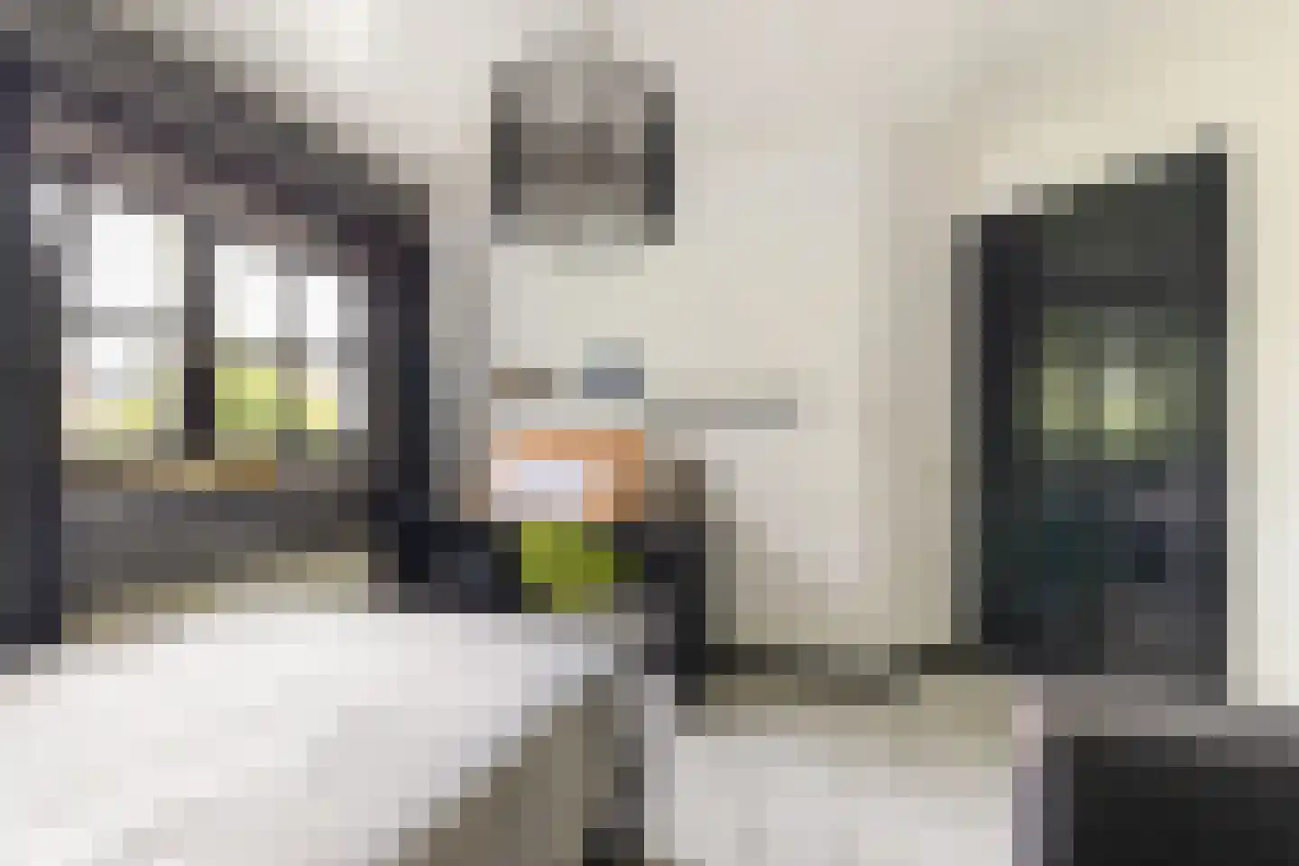 Seringstraat 37 Ederveen thumbnail 41