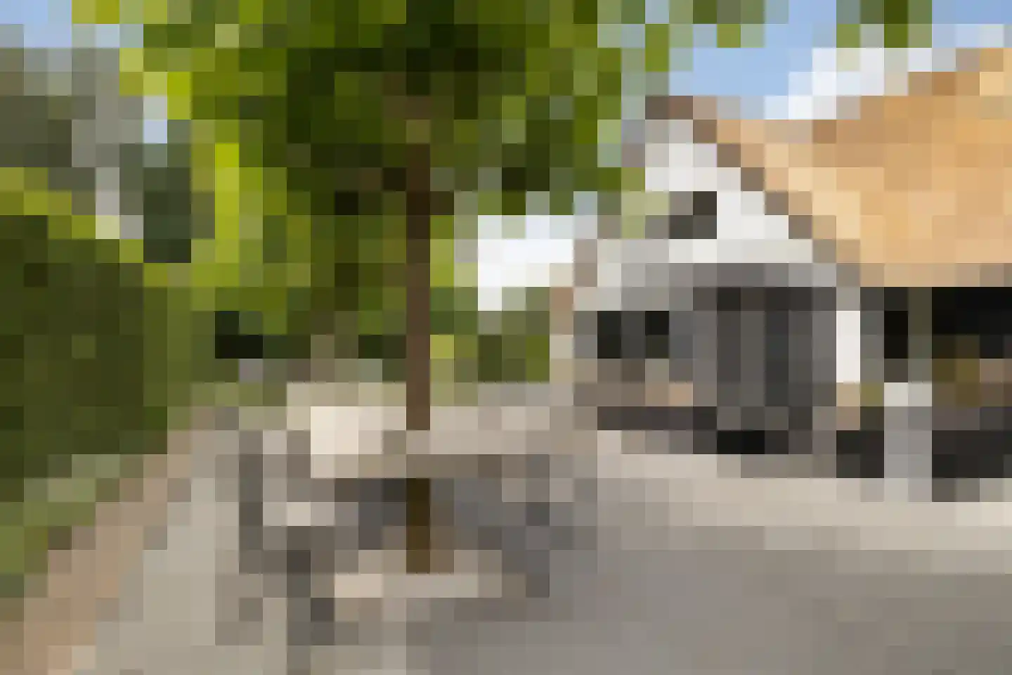 Seringstraat 37 Ederveen thumbnail 44