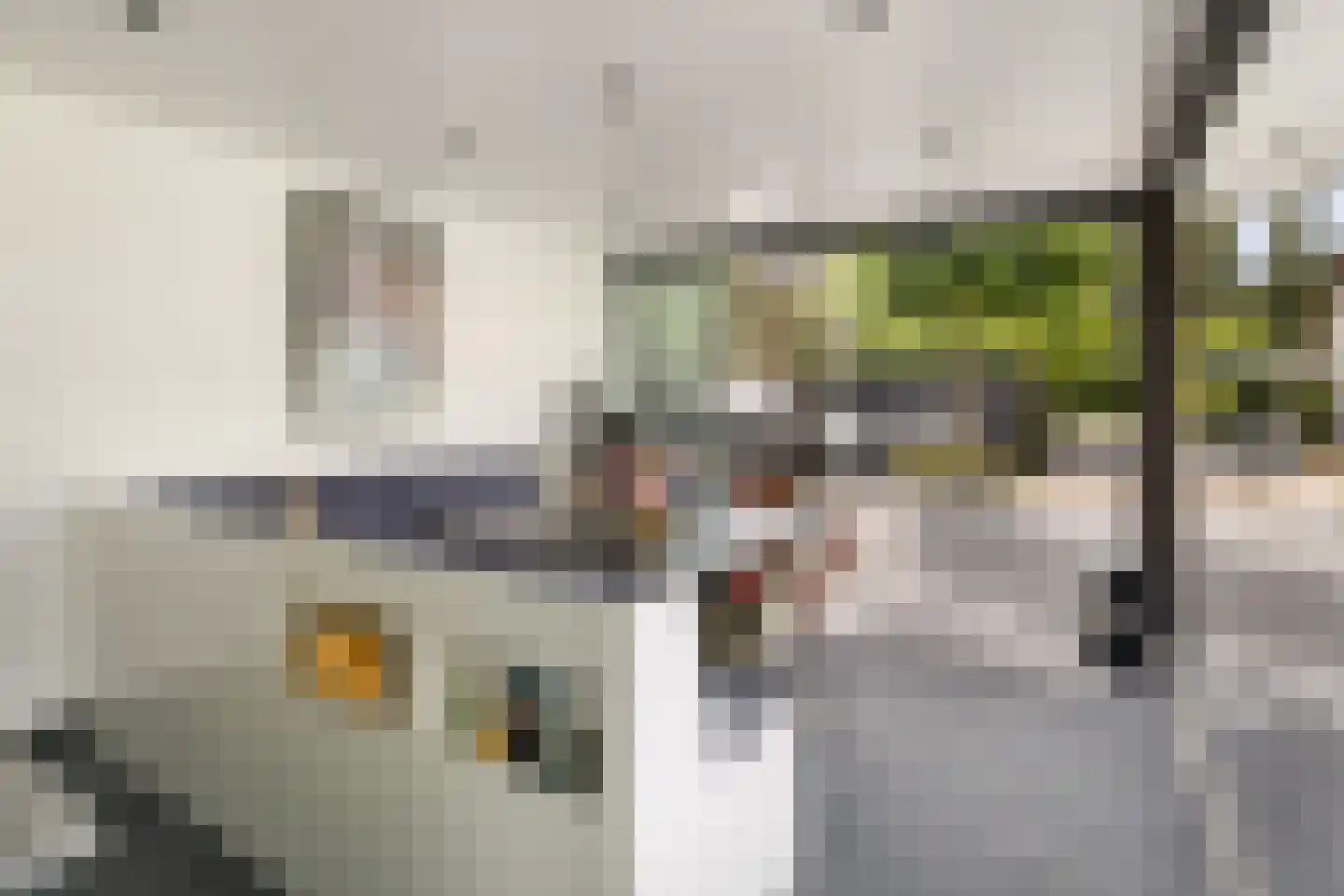 Seringstraat 37 Ederveen thumbnail 58