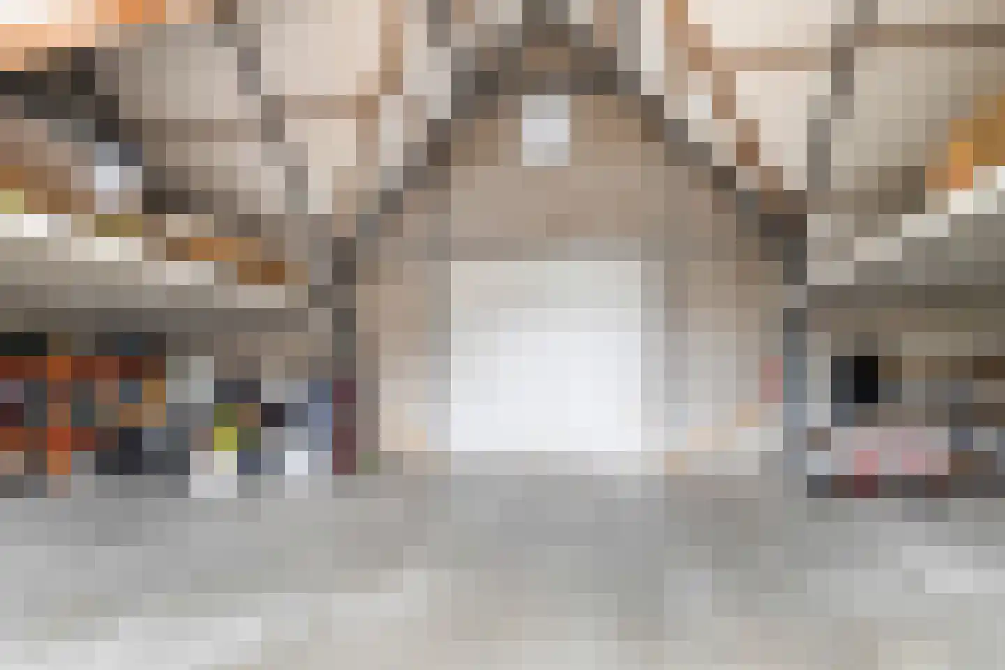 Seringstraat 37 Ederveen thumbnail 69