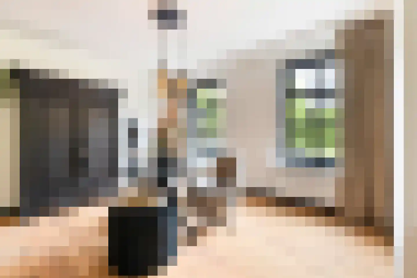 Seringstraat 37 Ederveen thumbnail 7