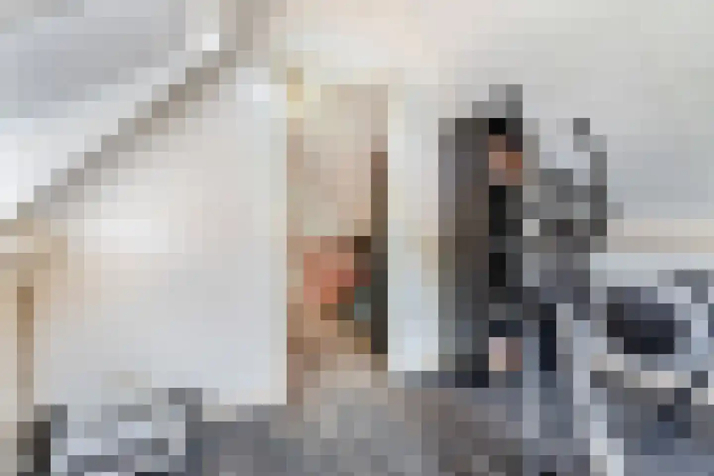 Seringstraat 37 Ederveen thumbnail 74