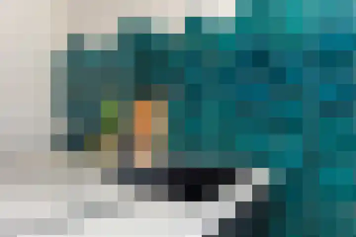 Seringstraat 4 Utrecht thumbnail 15