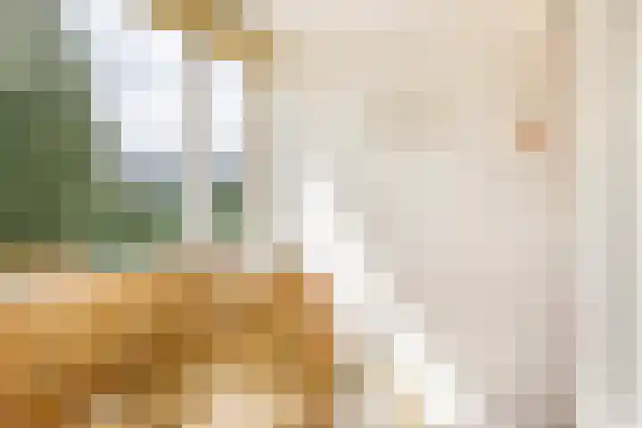 Seringstraat 4 Utrecht thumbnail 31