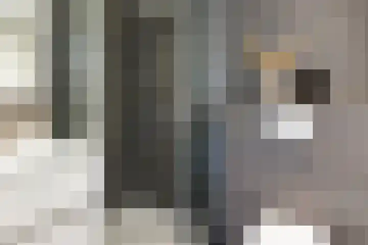 Seringstraat 4 Utrecht thumbnail 32