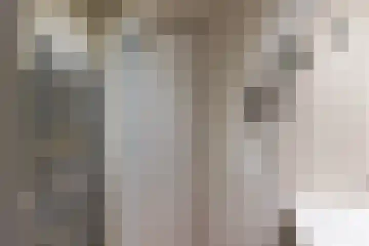 Seringstraat 4 Utrecht thumbnail 35