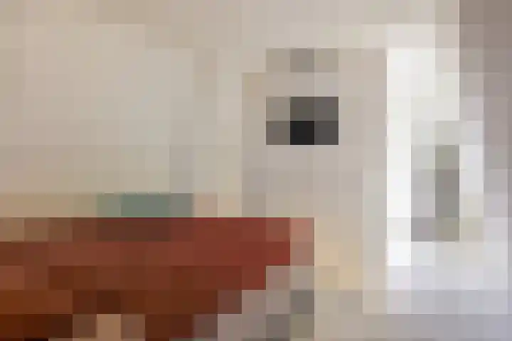 Seringstraat 4 Utrecht thumbnail 36