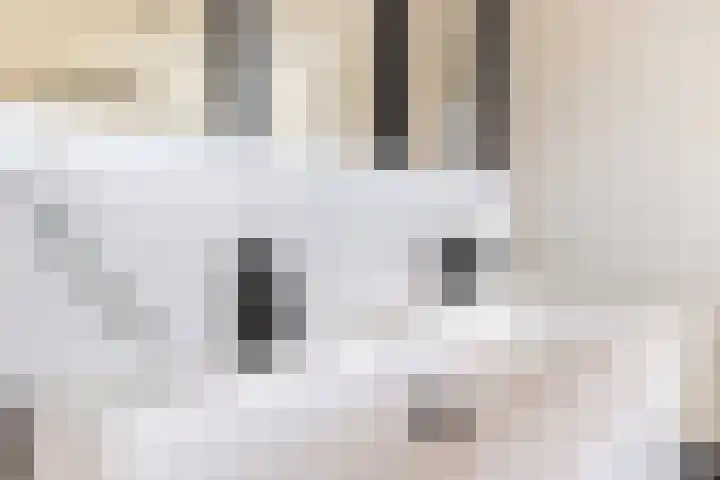 Seringstraat 4 Utrecht thumbnail 39