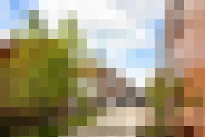 Seringstraat 4 Utrecht thumbnail 44