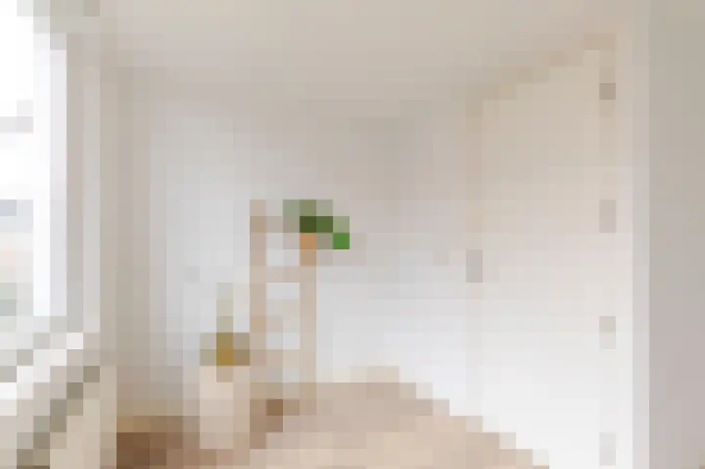 Seringstraat 5 Utrecht thumbnail 22