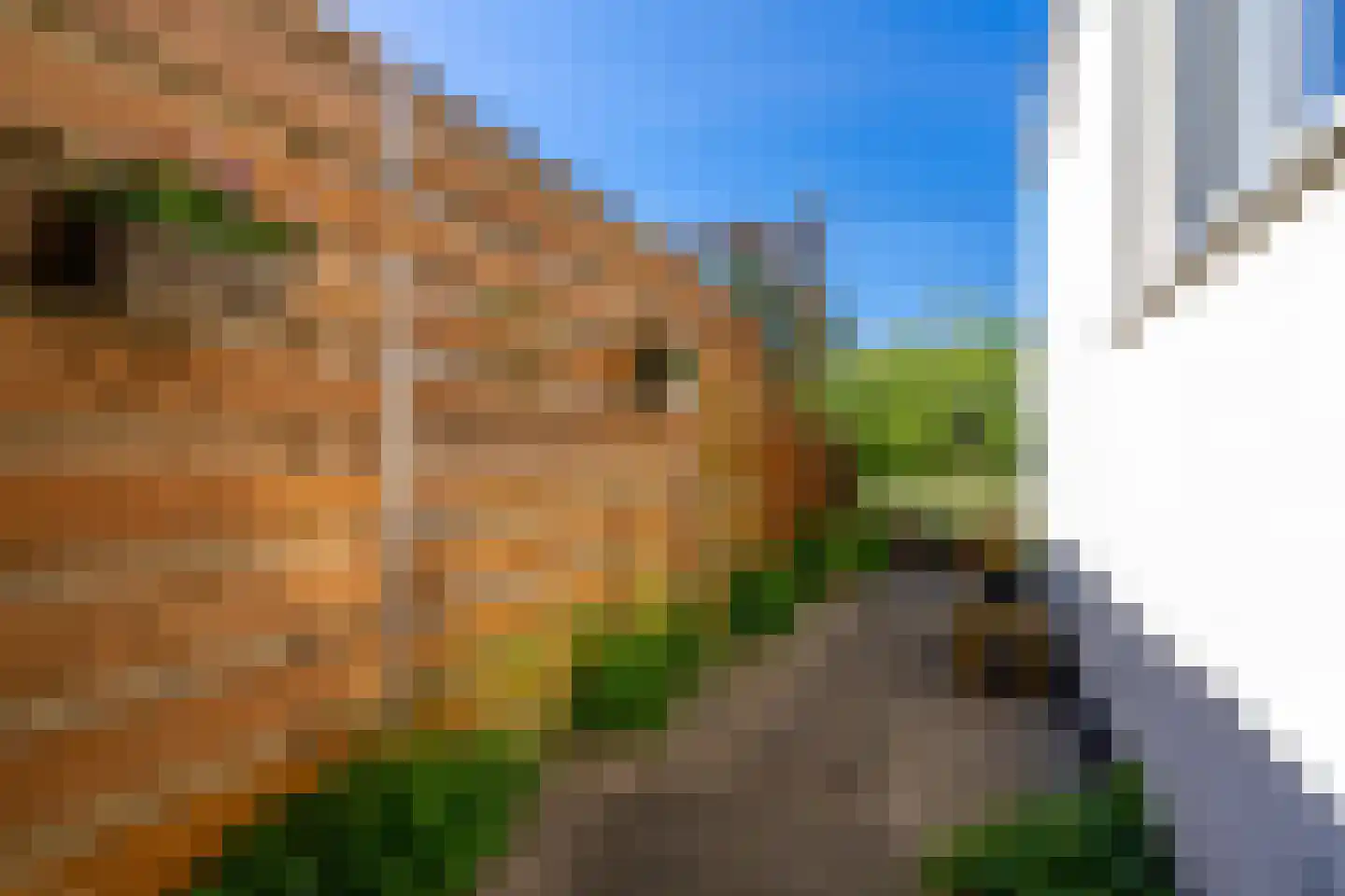 Seringstraat 76 Utrecht thumbnail 28