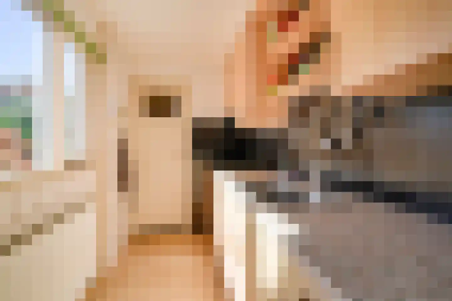 Seringstraat 76 Utrecht thumbnail 4