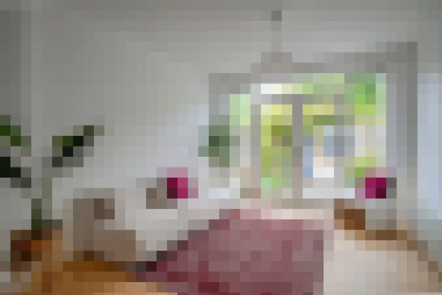 Seringstraat 88 Utrecht thumbnail 12