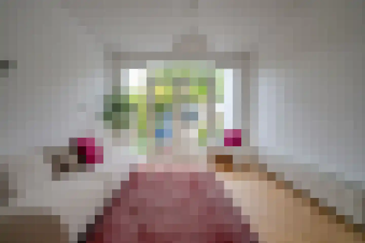 Seringstraat 88 Utrecht thumbnail 13