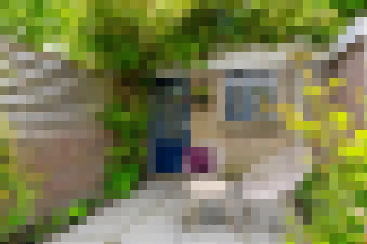 Seringstraat 88 Utrecht thumbnail 21