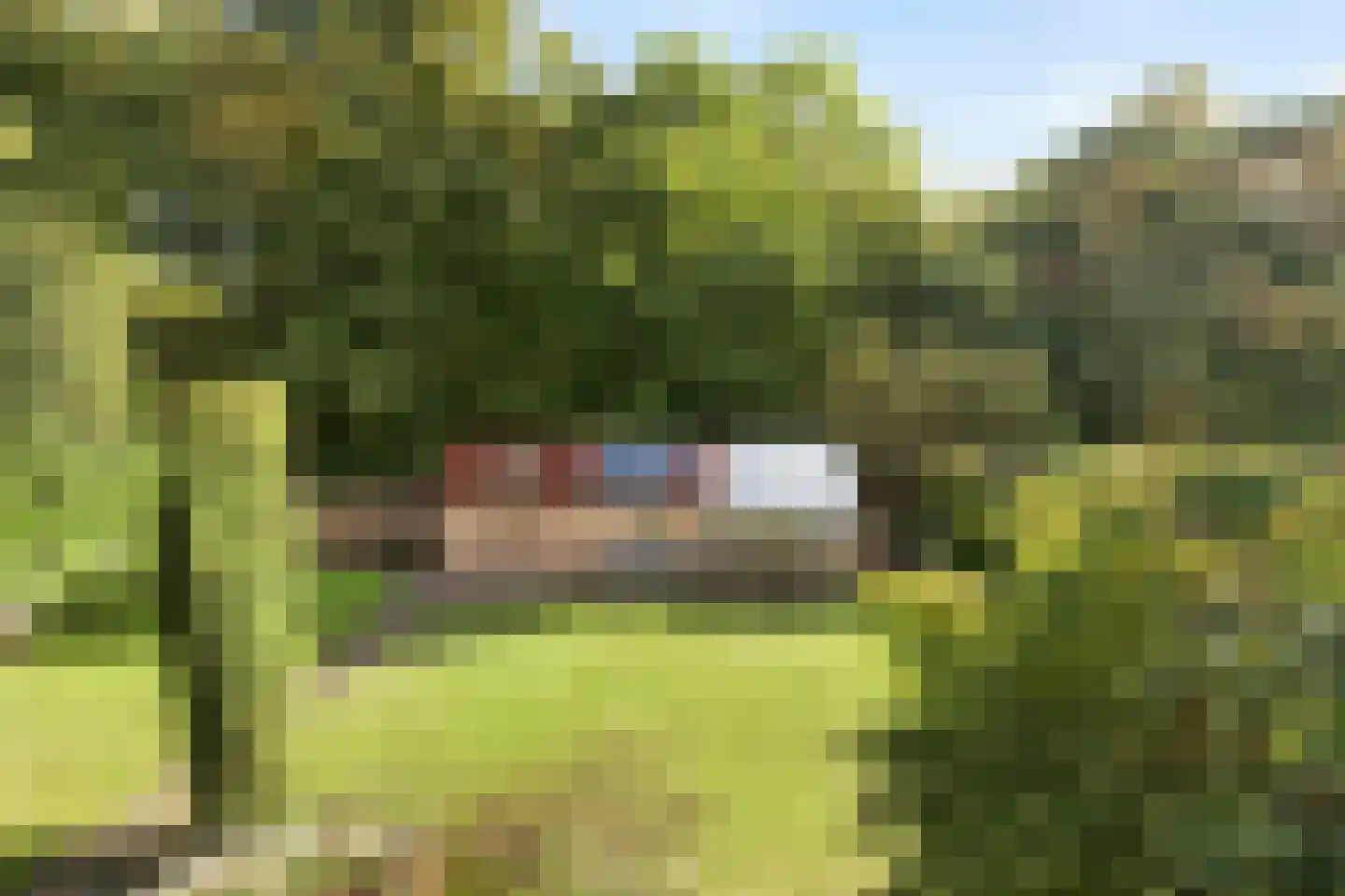 Seringweg 43 Ermelo thumbnail 28