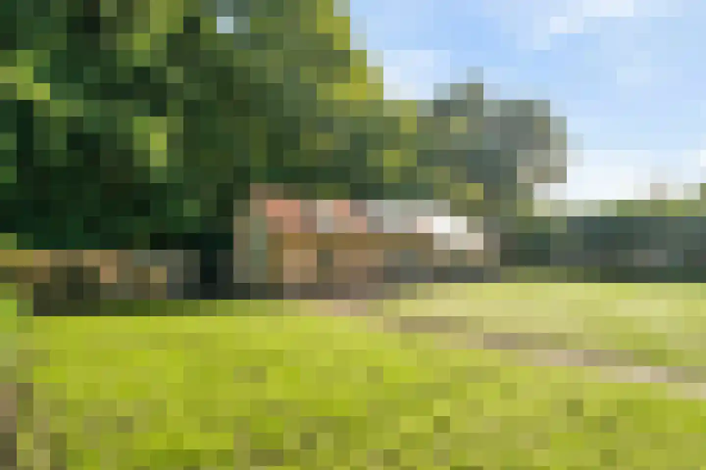 Seringweg 43 Ermelo thumbnail 51