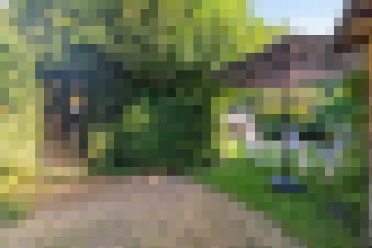 Seringweg 43 Ermelo thumbnail 60