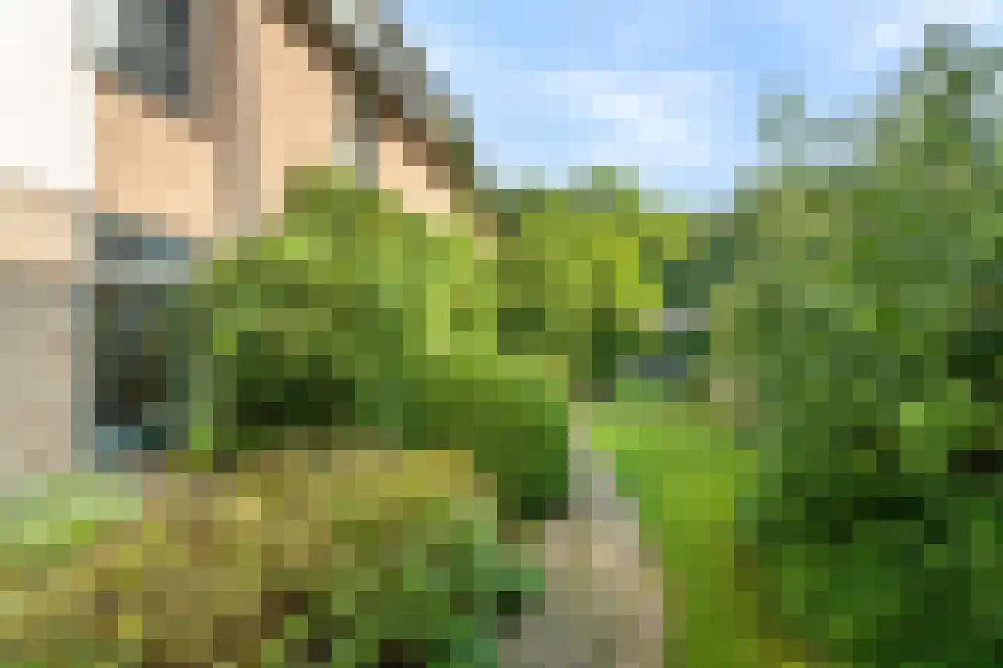 Seringweg 43 Ermelo thumbnail 61